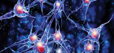 How to Learn and Memorise as Fast as Possible at Medical School